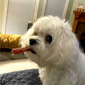 Meet your Posher, Colinda